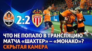 Incredible support in Kharkiv and reaching the UCL group stage | Shakhtar vs Monaco. Hidden camera