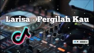 DJ LARISA PERGILAH KAU - DiptaRadityaa.