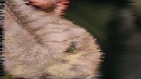 [CRYPTIMAGE] Discret11_1