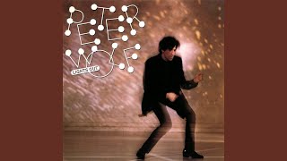 "Lights Out" - Peter Wolf