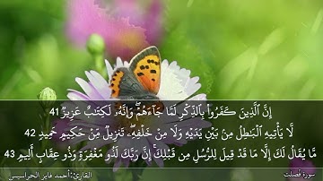 الصفحة 481 سورة فُصلت بصوت القارئ المهندس أحمد فايز الحراسيس