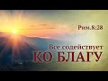 Всё содействует ко благу — Андрей П. Чумакин | Римлянам 8:28