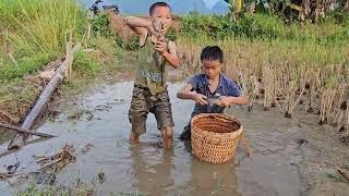 Two boys discover a giant catfish nest and the result is...