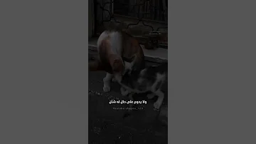 في طيه عبر انظر لتبصرها منصور الحسيني 