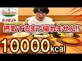 【大食い】サイゼリアで10000キロカロリー摂取するまで帰れません!!