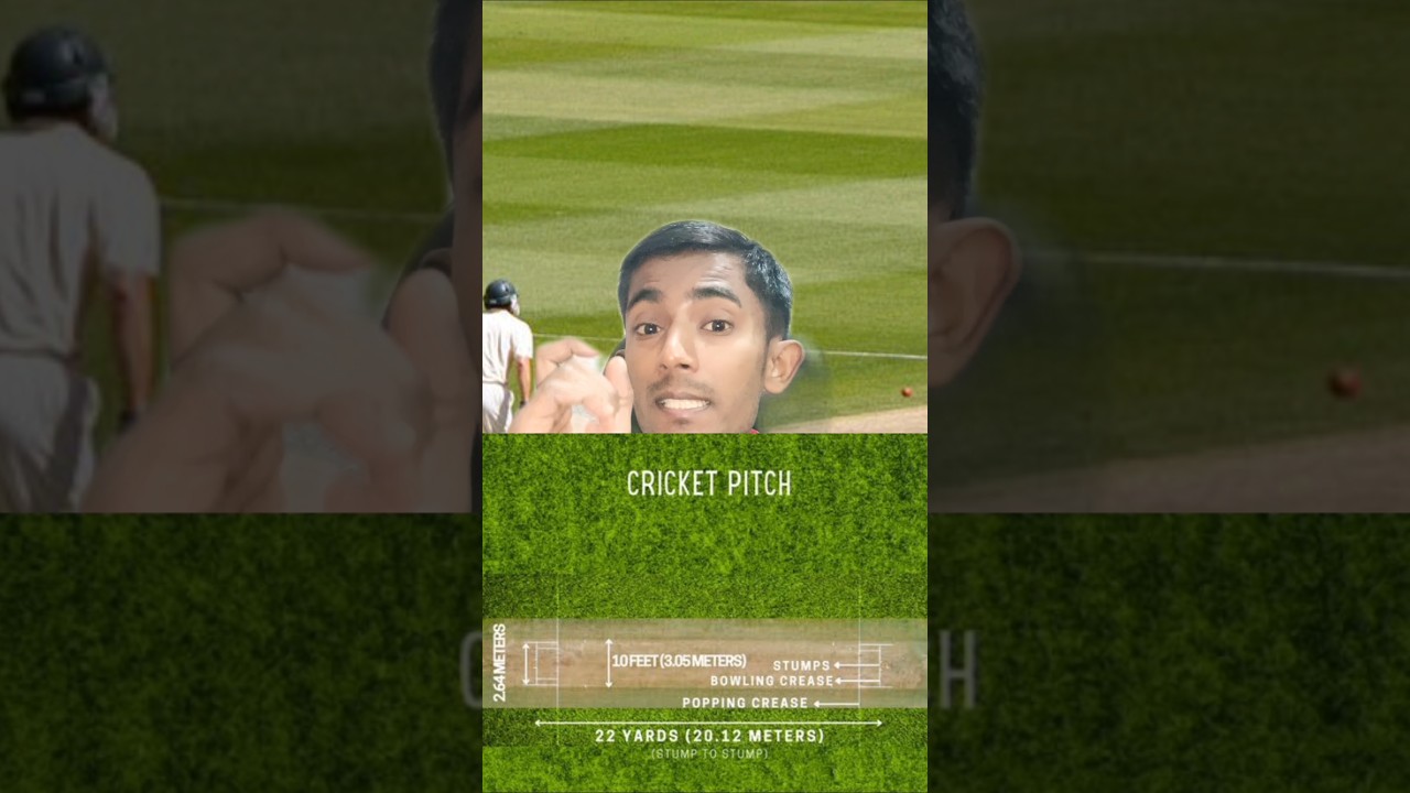 Why cricket pitch length 22 yard?