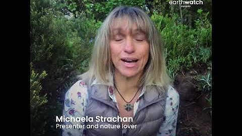 Michaela Strachan- Naturehood Introduction