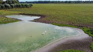 Gajna Posjeti Čuvare Prirode Brodsko-Posavske Županije