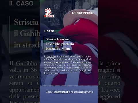 Video ?Striscia la notizia, il Gabibbo picchiato in strada a Milano