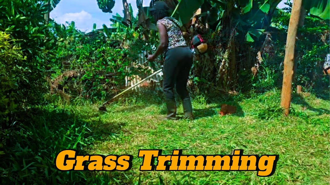 Simple Village Morning Routine 🌿🌄 African Breakfast & Grass Trimming
