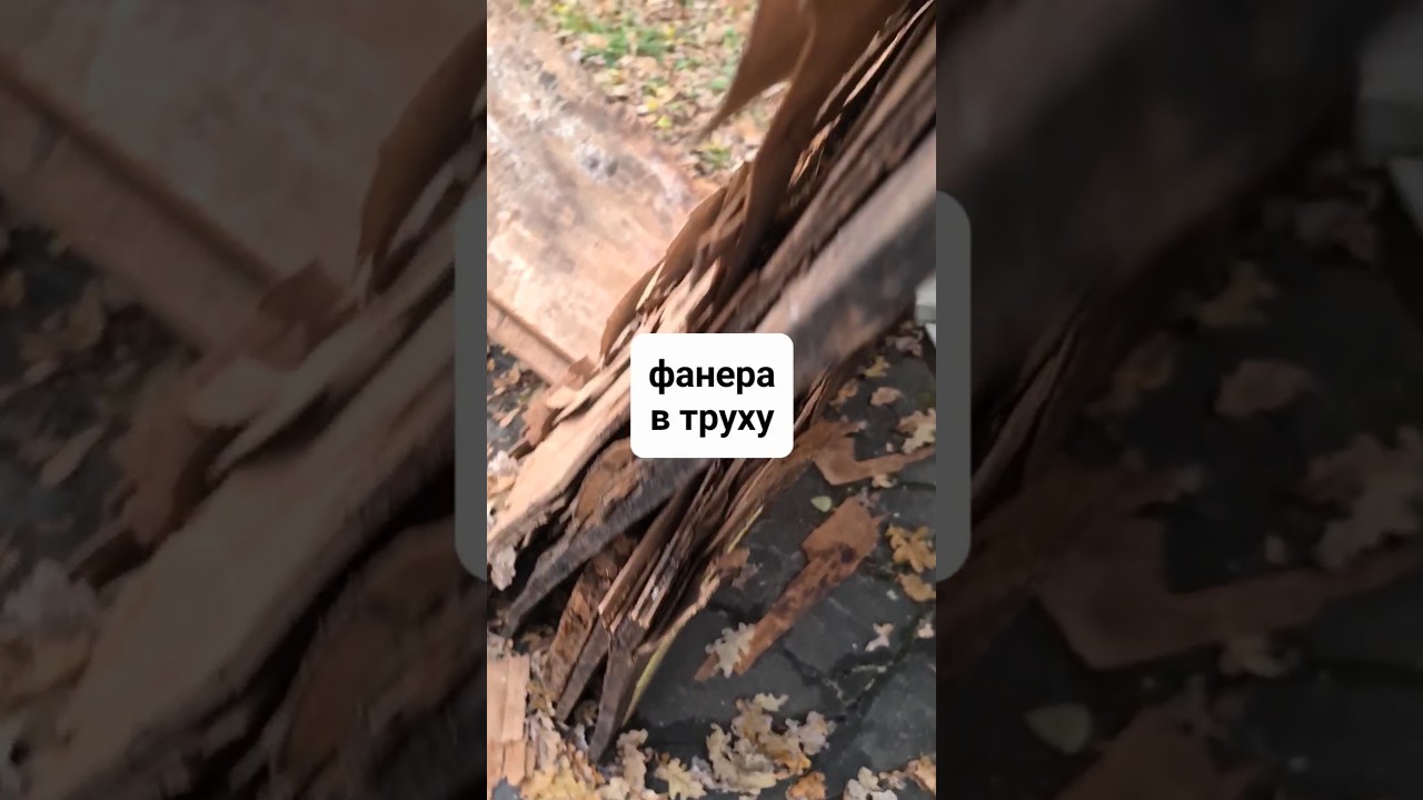 сгнил пол ВТОРОГО этажа. Это мой позор 