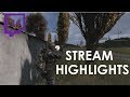 DAYZ SA| So i started streaming | Stream highlights #1