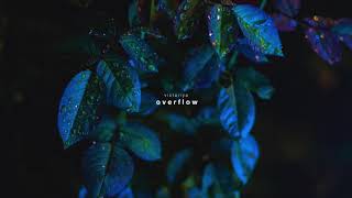 Victoriya - Overflow