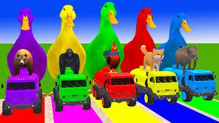 Long Slide Game with Cow Elephant Gorilla Hippopotamus Tiger 3d Animal Game Funny 3d Animals