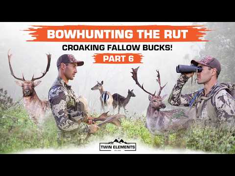 Bowhunting Croaking Fallow Deer Bucks In NSW, Australia During April's Peak Rut! - TWIN ELEMENTS