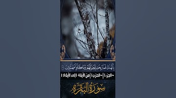 سورة البقرة من الأية14 إلى الأية 18 بصوت جميل مع الكتابة لتسهيل الحفظ والتجويد