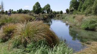 Restoring Harts Creek (WET 2015)