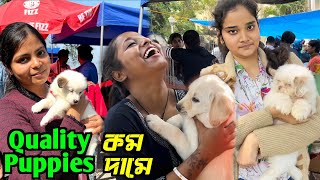 Serampore Pet Market New Video। Dog Market Serampore। Kolkata Dog Market।