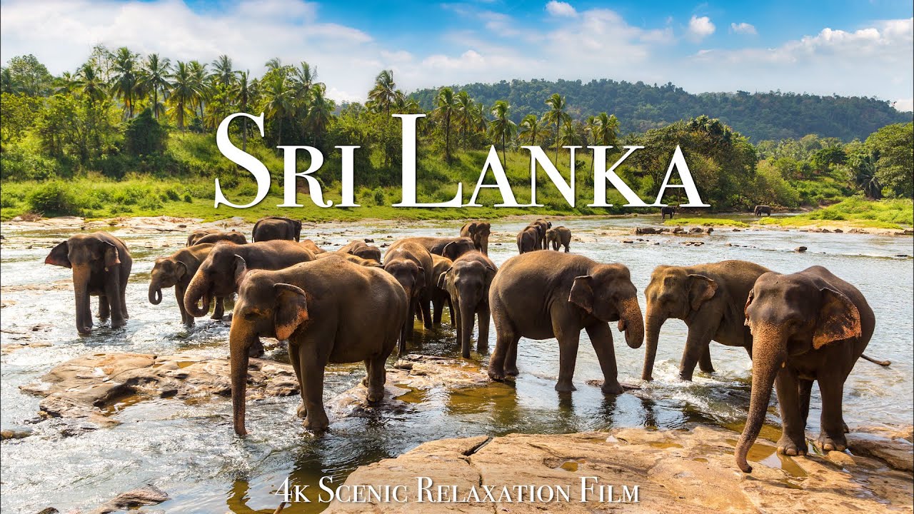 Sri Lanka 4K   Scenic Relaxation Film With Calming Music