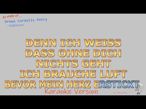 Drews Cordalis Petry - Wahnsinn - Instrumental und Karaoke
