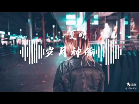 岁月神偷-夏晴（cover:金玟岐）【中文动态歌词】