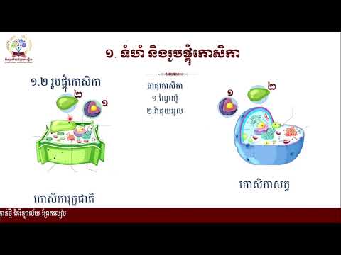 # ជីវវិទ្យាថ្នាក់ទី១០ #ជំពូក២ ឯកសណ្ឋានភាពនៃភាវរស់# មេរៀនទី១ កោសិកា