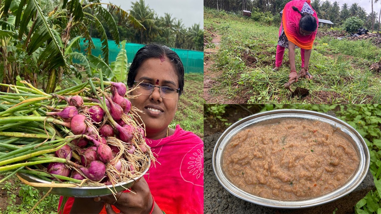 பார்த்தாலே சாப்பிடத் தோணும் சின்ன வெங்காய சட்னி I Fresh small onion chutney Recipe Tamil I FMF