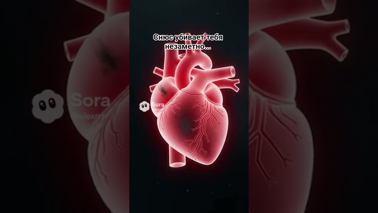 Снюс держит сердце ❤️ и нервную систему в постоянном стрессе. Как итог ранняя и внезапная смерть!