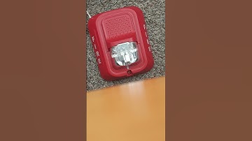 1 minute of a System Sensor SRL flasing.