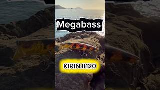 Megabass kirinji120