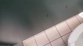 20 Lu In Cleveland, Tn