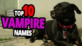 List Of The Top 10 Vampire Dog Names For Male & Female