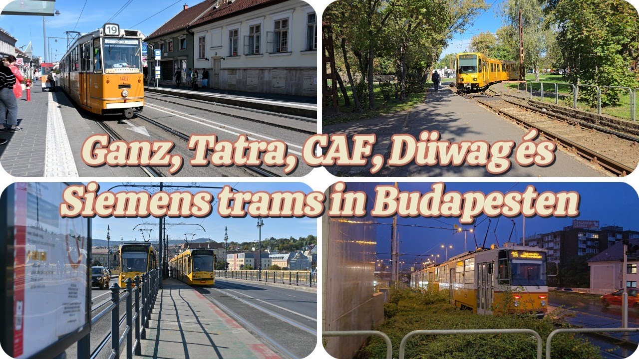 Trams in Budapest