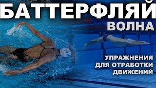 видео: КАК УЛУЧШИТЬ ТЕХНИКУ ПЛАВАНИЯ БАТТЕРФЛЯЕМ | Упражнения для отработки волны картинка: КАК УЛУЧШИТЬ ТЕХНИКУ ПЛАВАНИЯ БАТТЕРФЛЯЕМ | Упражнения для отработки волны