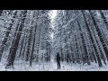 Поход одного дня. Прогулка в зимнем лесу.