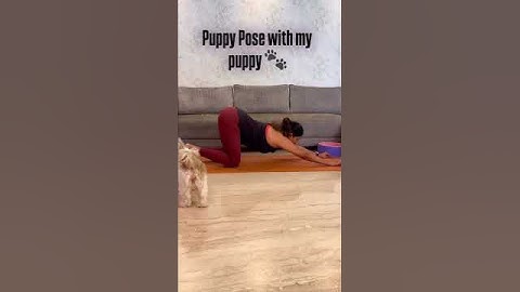 Melt stress fast! Puppy Pose + Puppy 🐶 = pure calm #YogaShorts #PuppyPose  #YogaUSA #CanadaYoga