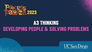 Celebrity A3 Thinking – Developing People & Solving Problems Profile