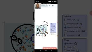 Simulation of Acids - Bases Solutions With Their Properties
