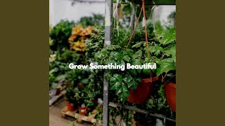 Sumptuous Backdrops for Social Options