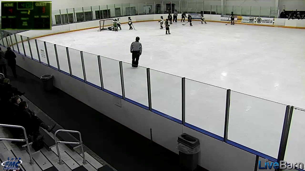 BHL Play of the Week! 1/20/18