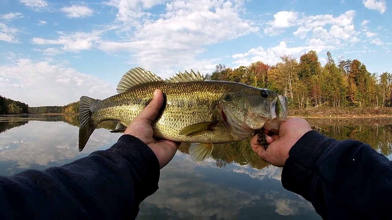 I’m BACK!!!!!!!! with some fall BASS fishing from the BANK!!!!!! Bass