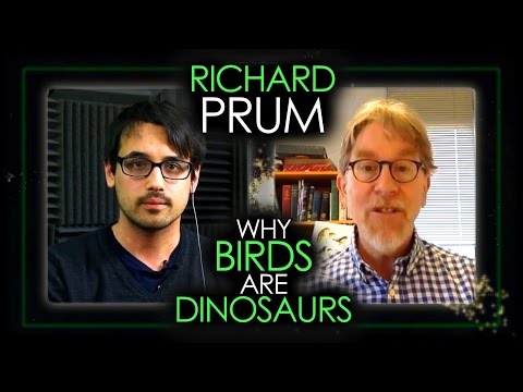 Why Birds Are Dinosaurs (Richard Prum Pt. 1) | Science Life
