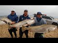 A once in a lifetime fishing trip epic kob feeding frenzy in meob bai kob from the beach