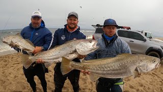 A once in a lifetime fishing trip! Epic Kob feeding frenzy in Meob bai! Kob from the beach!