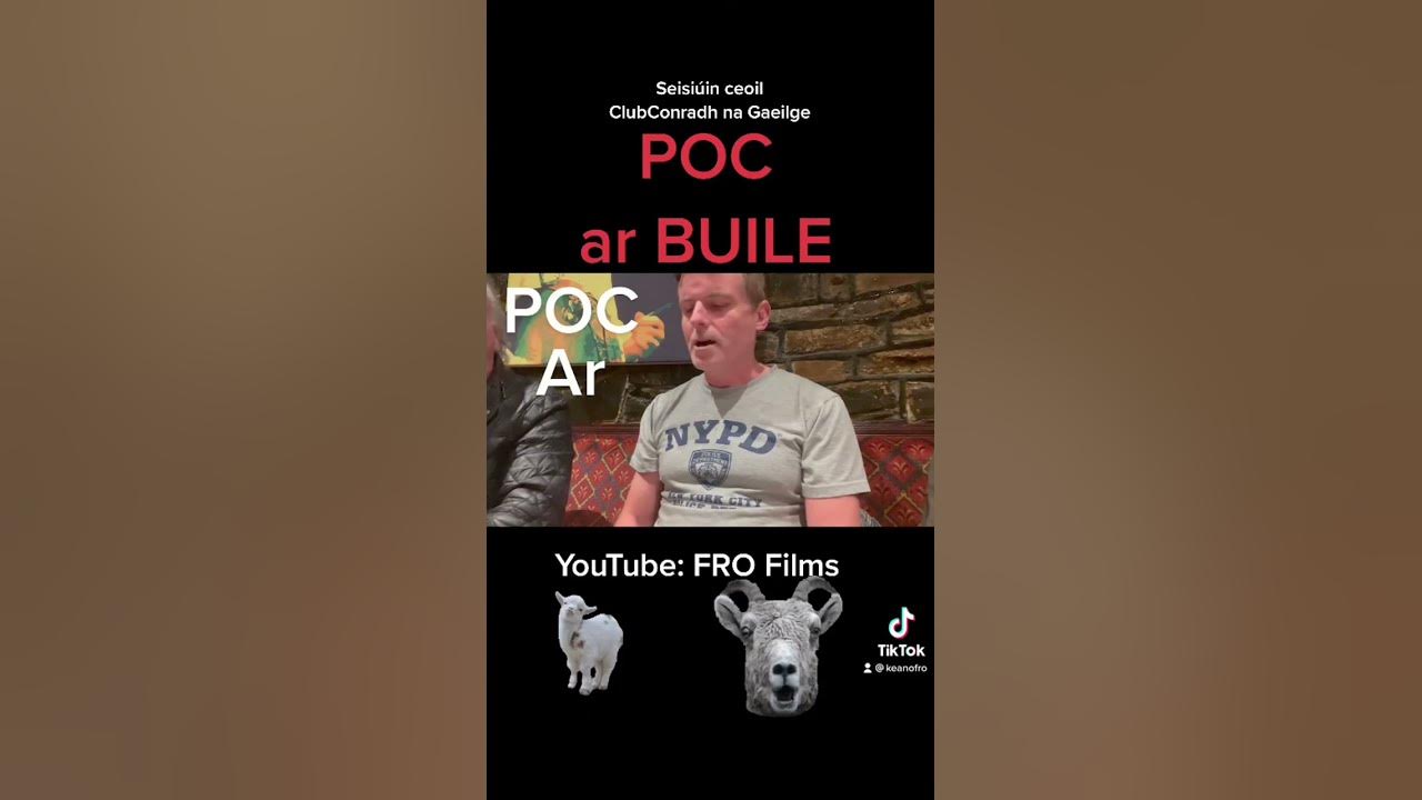 Poc ar Buile pub singsong ancient song as #Gaeilge #Shorts