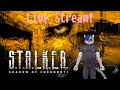 S.T.A.L.K.E.R.: Shadow Of Chernobyl's 16th Birthday! Kill All MASTER Difficulty Part Chernobyl NPP.2