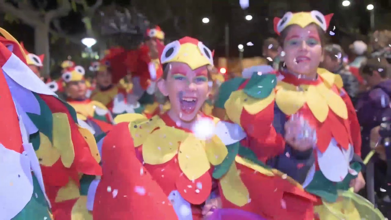 Vídeo Resum CARNESTOLTES TÀRREGA 2019