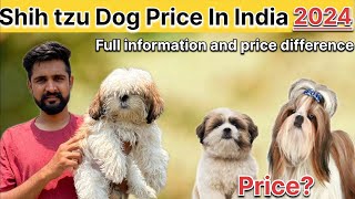 Shih Tzu Dog Price In India 2024 | Shih Tzu Dog Price And Monthly Cost | Shih Tzu dog