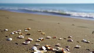 6 Minute Meditation Beach Waves Sounds