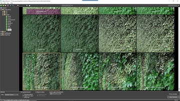 QUICK TIP: Using the Vertical green wall presets in Forest Pack 6 for 3ds Max